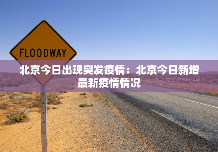玩家必知“九酷众娱可以开挂吗”分享必要外挂教程
