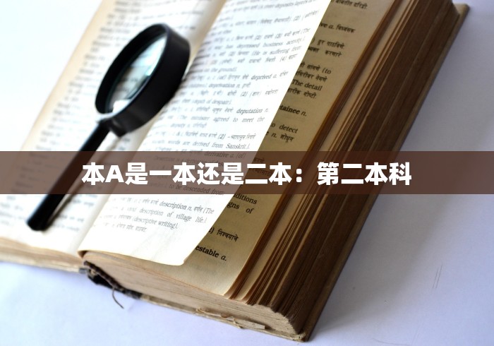 科技媒体实测“微信红包三公辅助软件	”可以开挂作弊