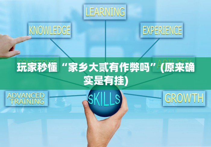 玩家秒懂“家乡大贰有作弊吗	”(原来确实是有挂)
