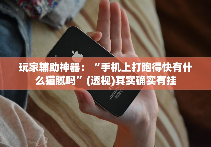 玩家辅助神器：“手机上打跑得快有什么猫腻吗”(透视)其实确实有挂