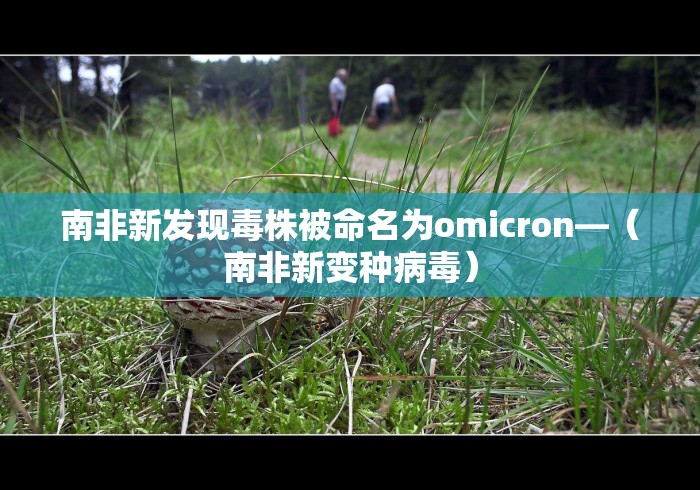 内测功能“都莱罗松十三张怎么才能有好牌”详细开挂玩法