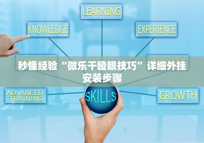 秒懂经验“微乐干瞪眼技巧”详细外挂安装步骤