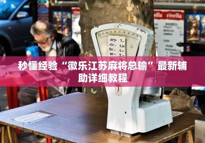 秒懂经验“徽乐江苏麻将总输”最新辅助详细教程