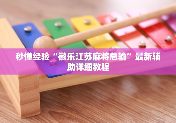 秒懂经验“徽乐江苏麻将总输	”最新辅助详细教程