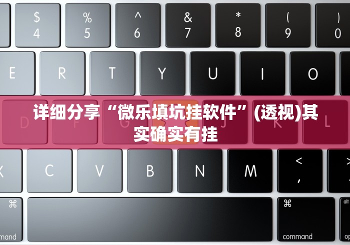 详细分享“微乐填坑挂软件”(透视)其实确实有挂