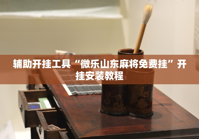 辅助开挂工具“微乐山东麻将免费挂”开挂安装教程