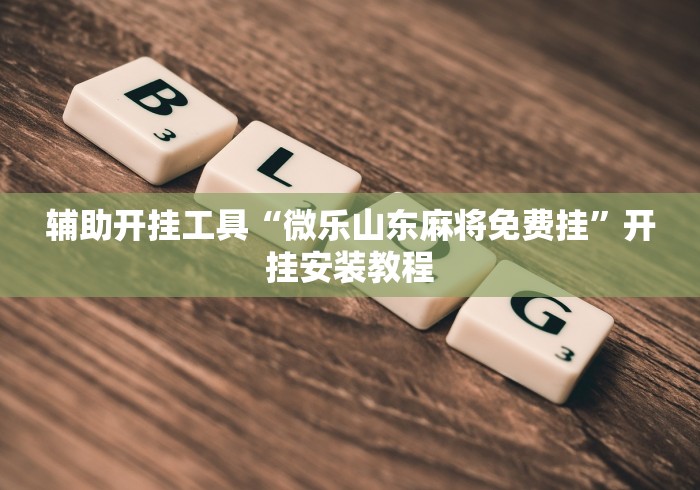 辅助开挂工具“微乐山东麻将免费挂	”开挂安装教程