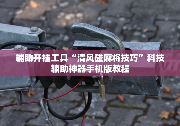 2026最新版下载“手机麻将开挂免费软件下载安装”(果然有透视挂)