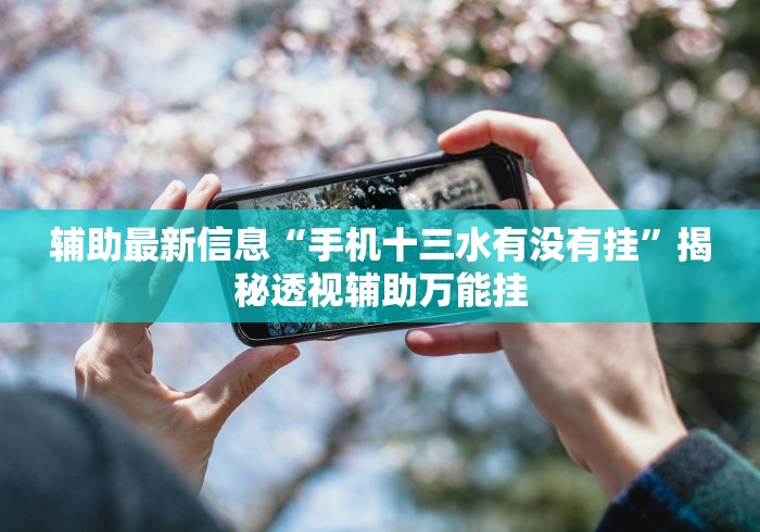 辅助最新信息“手机十三水有没有挂”揭秘透视辅助万能挂