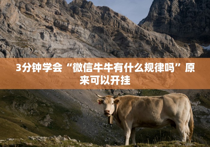 3分钟学会“微信牛牛有什么规律吗”原来可以开挂