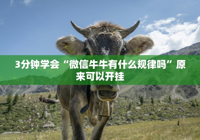 3分钟学会“微信牛牛有什么规律吗”原来可以开挂