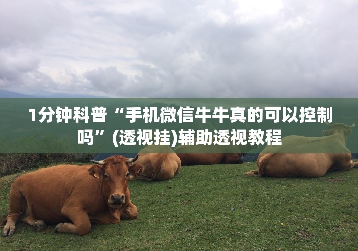 1分钟科普“手机微信牛牛真的可以控制吗”(透视挂)辅助透视教程