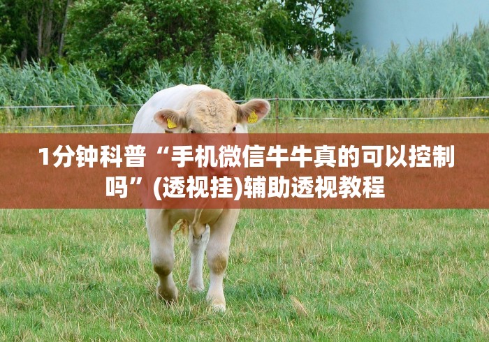 1分钟科普“手机微信牛牛真的可以控制吗”(透视挂)辅助透视教程