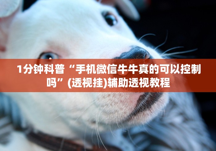 1分钟科普“手机微信牛牛真的可以控制吗	”(透视挂)辅助透视教程