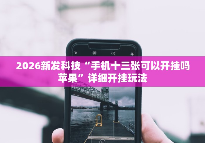 2026新发科技“手机十三张可以开挂吗苹果”详细开挂玩法