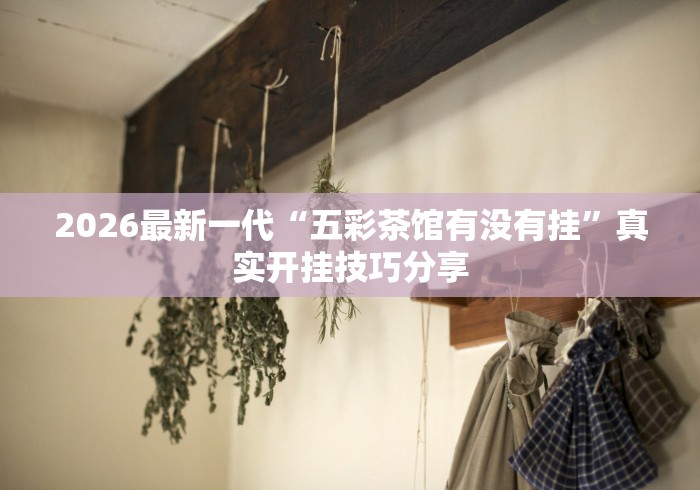 2026玩家推荐：红包透视软件哪个最稳”详细分享装挂步骤