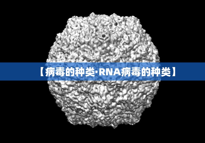 2026最新版下载“乐友汇可以开挂吗	”附开挂脚本详细步骤