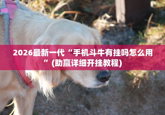 内测功能“天天温州麻将可以开挂吗”(详细透视教程)-知乎