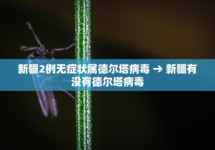 【第一发现】“微信小程序跑得快技巧	”有挂详细开挂教程