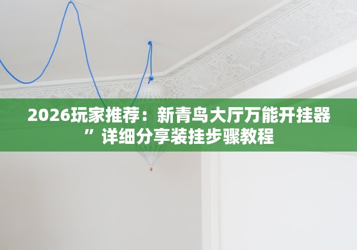【玩家必看】“掼蛋的打法和技巧”科技辅助神器手机版教程
