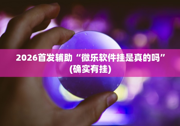 2026首发辅助“微乐软件挂是真的吗	”(确实有挂)