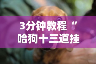 [8秒详论]“微乐打麻将如何打赢人机”附开挂脚本详细教程