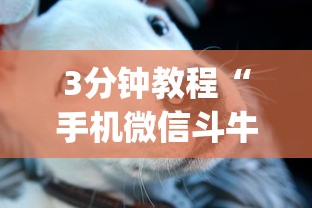 3分钟教程“手机微信斗牛开挂技巧(确实真的有挂) 3分钟教程“手机微信斗牛开挂技巧(确实真的有挂)