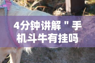 4分钟讲解＂手机斗牛有挂吗怎么用”详细开挂教程