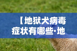 必看教程“毛豆互娱可以开挂吗”(曝光透视必备猫腻)