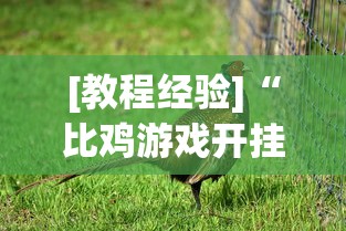 【揭秘一下】“广东雀神麻将提高胜率”真可以装挂
