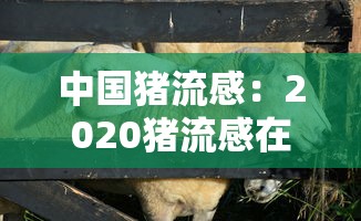 分析必看“微乐河北麻将怎样开挂”附开挂脚本详细步骤
