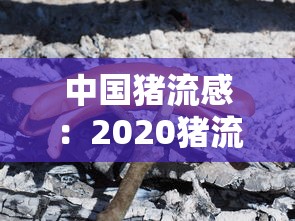 实测!“乐乐四川麻将有挂吗”开挂辅助脚本+详细开挂