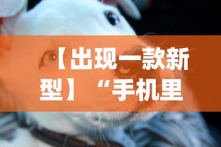 【出现一款新型】“手机里斗牛怎么开挂	”(详细透视教程)-知乎