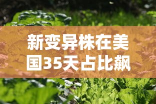 全网解答｜“大头十三水怎么提高胜率最新版更新内容	”通用版下载教程！