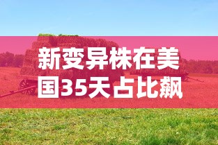 【玩家新攻略】“顺欣茶坊万能开挂神器	”开挂(透视)辅助教程