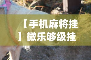 【手机麻将挂】微乐够级挂机头像	”(曝光透视必备猫腻)