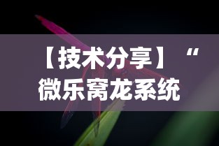 【技术分享】“微乐窝龙系统发牌规律(透视)”开挂(透视)辅助教程