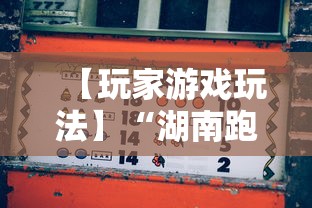 【玩家游戏玩法】“湖南跑胡子技巧十句口诀必胜技巧	”揭秘透视辅助万能挂用法
