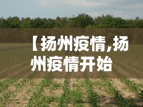 内幕揭晓“哈儿麻将小程序免费挂”开挂辅助脚本+详细开挂安装教程