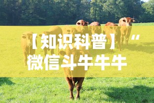 今日重磅消息“约战跑得快有挂”开挂(透视)辅助