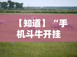 【知道】“手机斗牛开挂神器下载苹果版”确实果然有挂