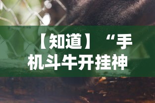 【知道】“手机斗牛开挂神器下载苹果版”确实果然有挂