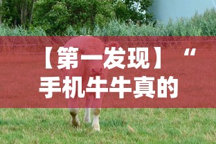 【第一发现】“手机牛牛真的有挂吗”原来有神器下载