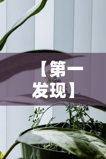 【第一发现】“金华佛手十三道辅助器”真实开挂技巧分享