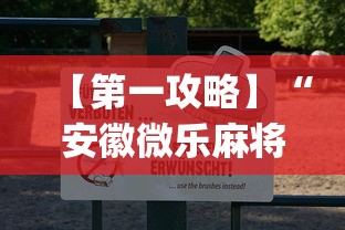 【第一攻略】“安徽微乐麻将有挂吗	”(确实有挂)