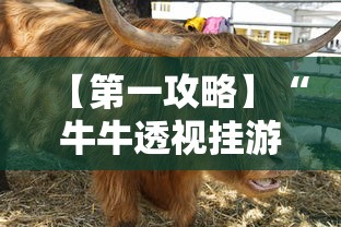 内测功能“微乐湖南麻将免费挂”（透视挂）辅助神器教程