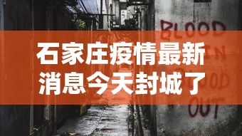 内测功能“微乐湖南麻将免费挂	”（透视挂）辅助神器教程