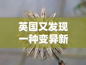 一分钟讲解“微乐家乡麻将挂免费下载手机版	”(透视)开挂辅助脚本+详细开挂安装教程