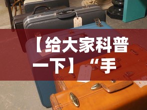 【给大家科普一下】“手机十三张辅助器是什么”详细分享装挂步骤