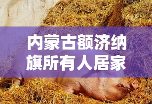 必备科技“填大坑辅助器免费版	”附开挂脚本详细步骤